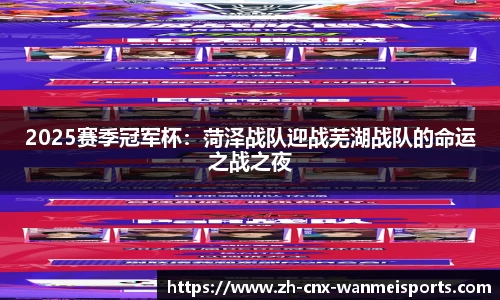 2025赛季冠军杯：菏泽战队迎战芜湖战队的命运之战之夜